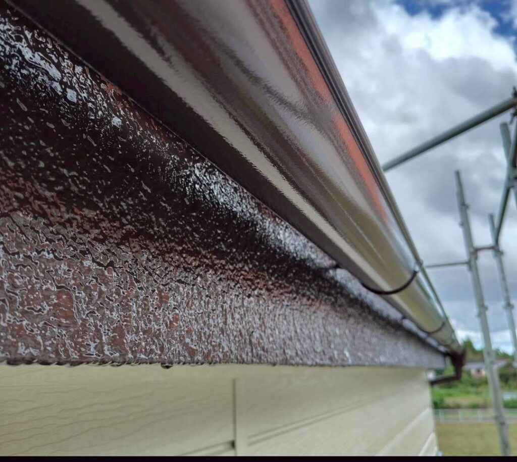 鼻隠し・雨樋塗装完了