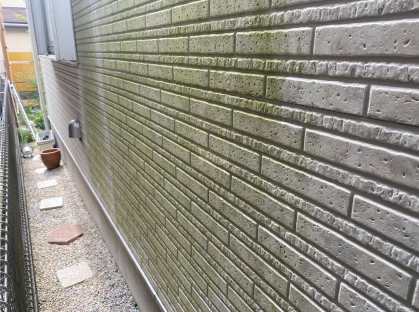 外壁サイディングに苔・藻が発生し、緑色に変色している劣化症状の様子